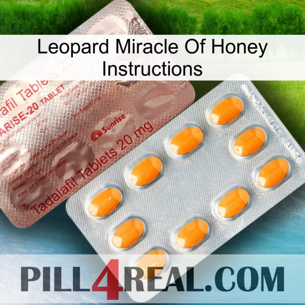 Leopard Miracle Of Honey Instructions new13.jpg